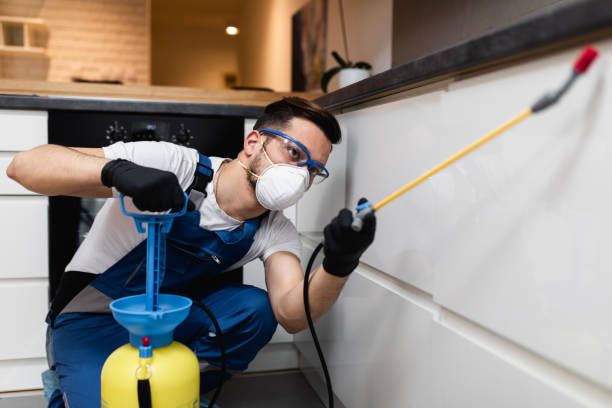 Best Pest Prevention Services  in Shenandoah, LA