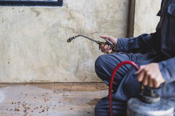 Best Commercial Pest Control Services  in Shenandoah, LA